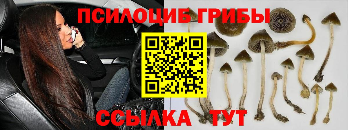 Ипатово  Галлюциногенные грибы мицелий  Вход с VPN  Галлюциногенные грибы мицелий 