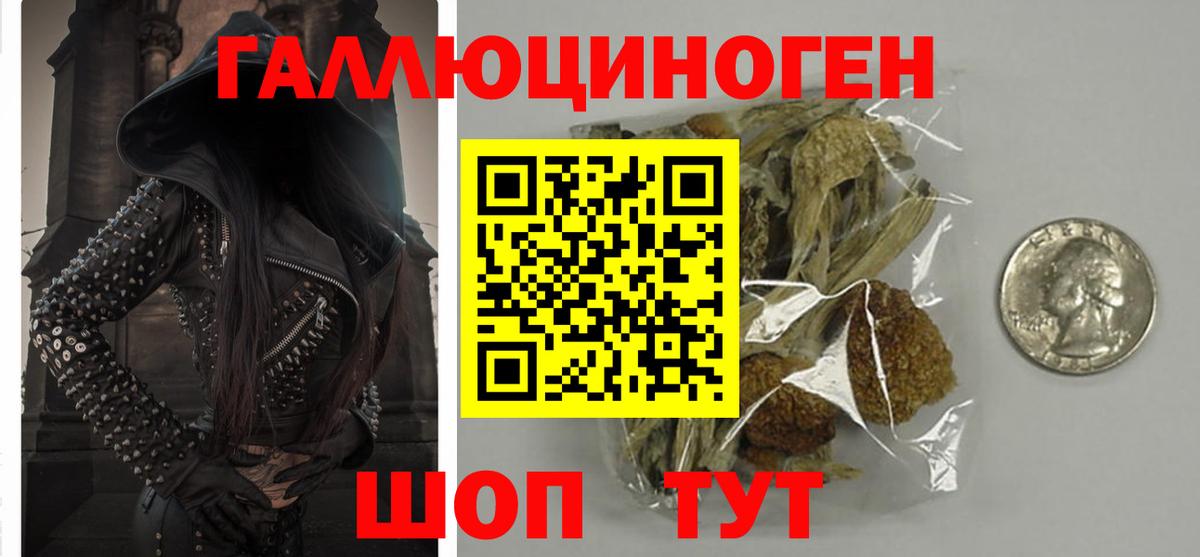 Псилоцибиновые грибы мицелий Ипатово